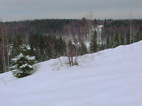 Cross country skiing around Penttil&auml; Gardens cottage.