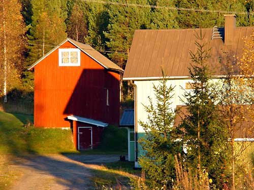Kangasniemi, Finland - winter cottages zomerhuisjes - skandinavia - skiing, snowboarding, dogsleds, snow mobiles, trekking, fishing, swimming and sauna holidays - vacations in your own cottage in south east Finland - summer, fall, autumn, winter and spring at Penttil&auml; Gardens