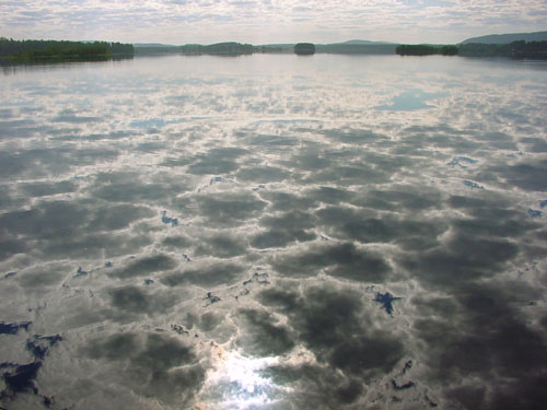 Kangasniemi, Finland - winter cottages zomerhuisjes - skandinavia - skiing, snowboarding, dogsleds, snow mobiles, trekking, fishing, swimming and sauna holidays - vacations in your own cottage in south east Finland - summer, fall, autumn, winter and spring at Penttil&auml; Gardens