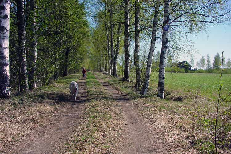 Walking in the countryside in Finland.