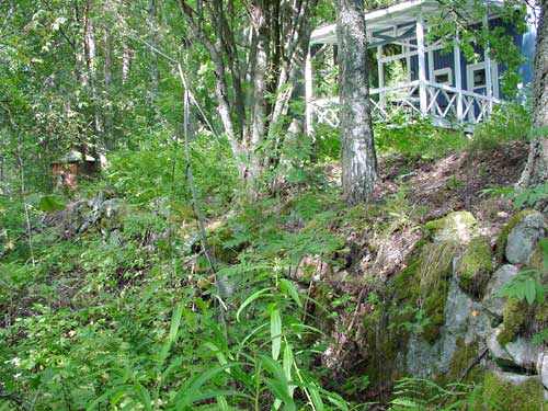 informatie - information - summer cottage on Lake Synsi&ouml; in Kangasniemi Finland - skandinavia