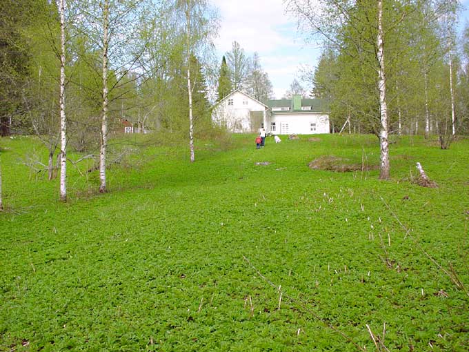 winter cottages zomerhuisjes - skandinavia - skiing, snowboarding, dogsleds, snow mobiles, trekking, fishing, swimming and sauna holidays - vacations in your own cottage in south east Finland - summer, fall, autumn, winter and spring at Penttil&auml; Gardens