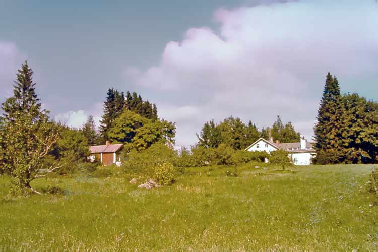The Penttil&auml; grounds in the fifties of the nineteenth century.