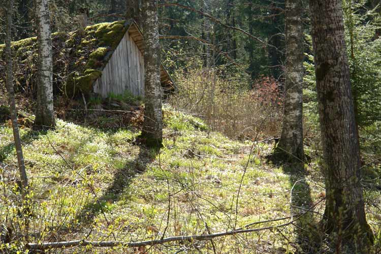 The old earth cellar was made from the wood of trees felled on Penttil&auml; estate. It is dug down into the slope.