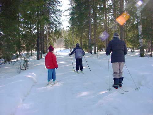 skiing ski&euml;n winter cottages zomerhuisjes - skandinavia - skiing, snowboarding, dogsleds, snow mobiles, trekking, fishing, swimming and sauna holidays - vacations in your own cottage in south east Finland - summer, fall, autumn, winter and spring at Penttil&auml; Gardens