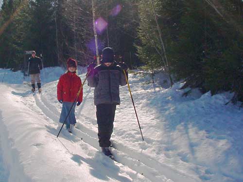 skiing ski&euml;n winter cottages zomerhuisjes - skandinavia - skiing, snowboarding, dogsleds, snow mobiles, trekking, fishing, swimming and sauna holidays - vacations in your own cottage in south east Finland - summer, fall, autumn, winter and spring at Penttil&auml; Gardens