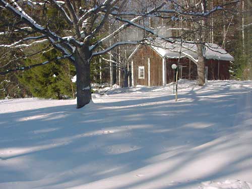skiing ski&euml;n winter cottages zomerhuisjes - skandinavia - skiing, snowboarding, dogsleds, snow mobiles, trekking, fishing, swimming and sauna holidays - vacations in your own cottage in south east Finland - summer, fall, autumn, winter and spring at Penttil&auml; Gardens