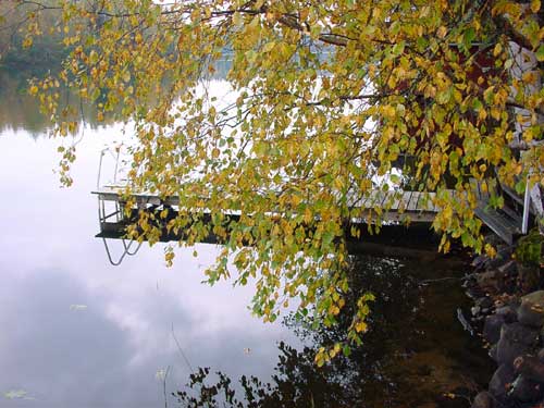 winter cottages zomerhuisjes - skandinavia - skiing, snowboarding, dogsleds, snow mobiles, trekking, fishing, swimming and sauna holidays - vacations in your own cottage in south east Finland - summer, fall, autumn, winter and spring at Penttil&auml; Gardens