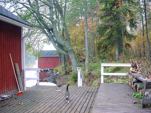 winter cottages zomerhuisjes - skandinavia - skiing, snowboarding, dogsleds, snow mobiles, trekking, fishing, swimming and sauna holidays - vacations in your own cottage in south east Finland - summer, fall, autumn, winter and spring at Penttil&auml; Gardens