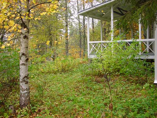 winter cottages zomerhuisjes - skandinavia - skiing, snowboarding, dogsleds, snow mobiles, trekking, fishing, swimming and sauna holidays - vacations in your own cottage in south east Finland - summer, fall, autumn, winter and spring at Penttil&auml; Gardens