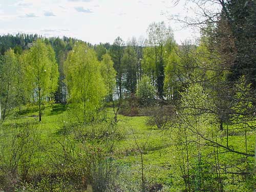 Spring cottages and sauna holidays - vacations in your own cottage in south east Finland - experience the Finnish spring at Penttil&auml; Gardens.