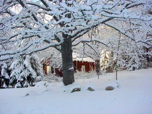 winter cottages in skandinavia - skiing, snowboarding, dogsleds, snow mobiles and sauna holidays - winter in your own cottage in south east Finland at Penttil&auml; Gardens
