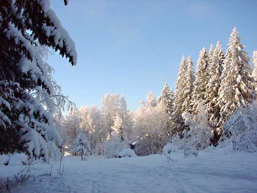 winter cottages in skandinavia - skiing, snowboarding, dogsleds, snow mobiles and sauna holidays - winter in your own cottage in south east Finland at Penttil&auml; Gardens