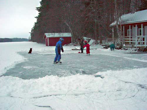 winter cottages in skandinavia - skiing, snowboarding, dogsleds, snow mobiles and sauna holidays - winter in your own cottage in south east Finland at Penttil&auml; Gardens