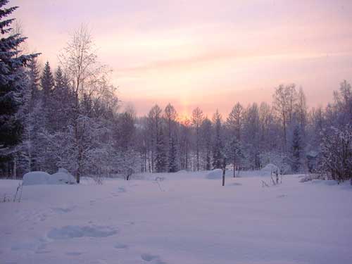 winter cottages in skandinavia - skiing, snowboarding, dogsleds, snow mobiles and sauna holidays - winter in your own cottage in south east Finland at Penttil&auml; Gardens