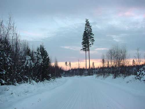 Kangasniemi, Finland - winter cottages zomerhuisjes - skandinavia - skiing, snowboarding, dogsleds, snow mobiles, trekking, fishing, swimming and sauna holidays - vacations in your own cottage in south east Finland - summer, fall, autumn, winter and spring at Penttil&auml; Gardens