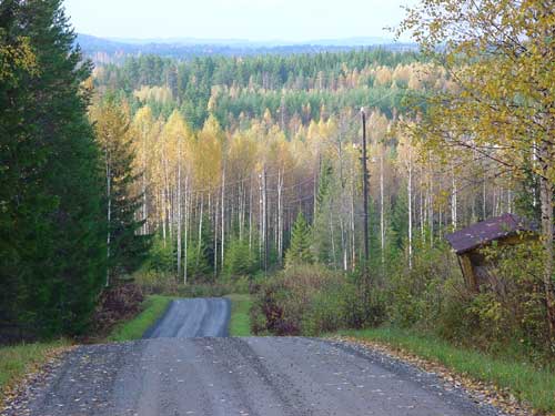 Kangasniemi, Finland - winter cottages zomerhuisjes - skandinavia - skiing, snowboarding, dogsleds, snow mobiles, trekking, fishing, swimming and sauna holidays - vacations in your own cottage in south east Finland - summer, fall, autumn, winter and spring at Penttil&auml; Gardens