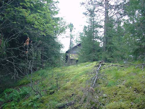 Kangasniemi, Finland - winter cottages zomerhuisjes - skandinavia - skiing, snowboarding, dogsleds, snow mobiles, trekking, fishing, swimming and sauna holidays - vacations in your own cottage in south east Finland - summer, fall, autumn, winter and spring at Penttil&auml; Gardens