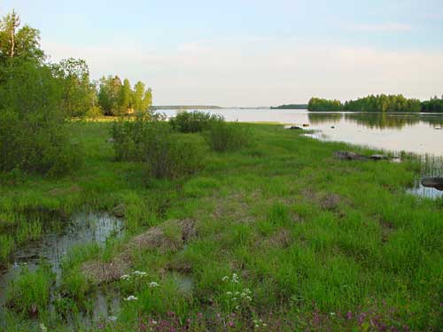 Kangasniemi, Finland - winter cottages zomerhuisjes - skandinavia - skiing, snowboarding, dogsleds, snow mobiles, trekking, fishing, swimming and sauna holidays - vacations in your own cottage in south east Finland - summer, fall, autumn, winter and spring at Penttil&auml; Gardens