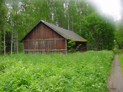 Kangasniemi, Finland - winter cottages zomerhuisjes - skandinavia - skiing, snowboarding, dogsleds, snow mobiles, trekking, fishing, swimming and sauna holidays - vacations in your own cottage in south east Finland - summer, fall, autumn, winter and spring at Penttil&auml; Gardens