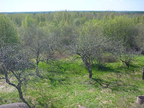 Kangasniemi, Finland - winter cottages zomerhuisjes - skandinavia - skiing, snowboarding, dogsleds, snow mobiles, trekking, fishing, swimming and sauna holidays - vacations in your own cottage in south east Finland - summer, fall, autumn, winter and spring at Penttil&auml; Gardens
