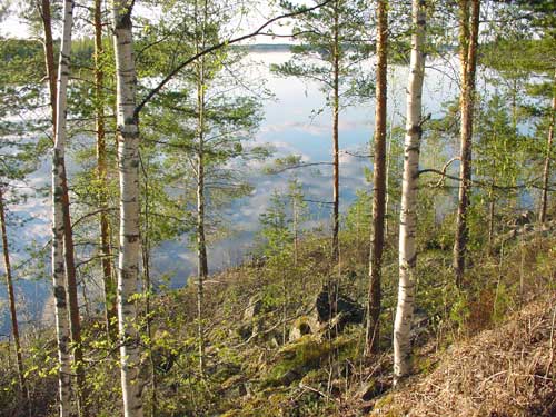 Kangasniemi, Finland - winter cottages zomerhuisjes - skandinavia - skiing, snowboarding, dogsleds, snow mobiles, trekking, fishing, swimming and sauna holidays - vacations in your own cottage in south east Finland - summer, fall, autumn, winter and spring at Penttil&auml; Gardens
