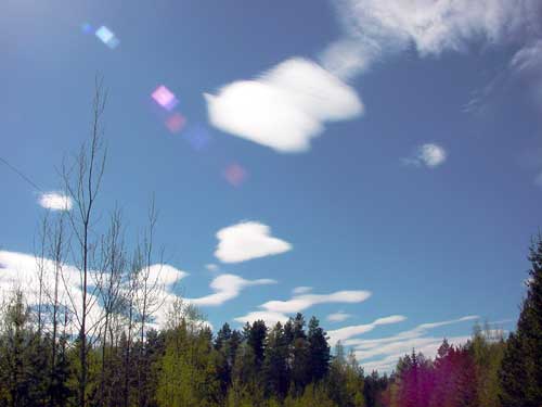 Kangasniemi, Finland - winter cottages zomerhuisjes - skandinavia - skiing, snowboarding, dogsleds, snow mobiles, trekking, fishing, swimming and sauna holidays - vacations in your own cottage in south east Finland - summer, fall, autumn, winter and spring at Penttil&auml; Gardens