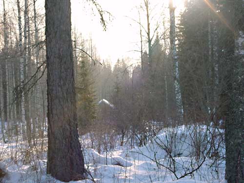 Kangasniemi, Finland - winter cottages zomerhuisjes - skandinavia - skiing, snowboarding, dogsleds, snow mobiles, trekking, fishing, swimming and sauna holidays - vacations in your own cottage in south east Finland - summer, fall, autumn, winter and spring at Penttil&auml; Gardens