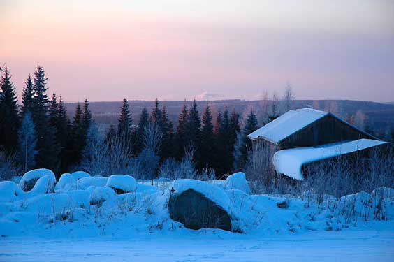 winter cottages in Kangasniemi, Finland -  zomerhuisjes - skandinavia - skiing, snowboarding, dogsleds, snow mobiles, trekking, fishing, swimming and sauna holidays - vacations in your own cottage in south east Finland - summer, fall, autumn, winter and spring at Penttil&auml; Gardens